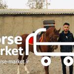 فروش اسب نریان عرب یکسروارداتی